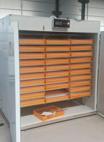 chick incubator chick incubator