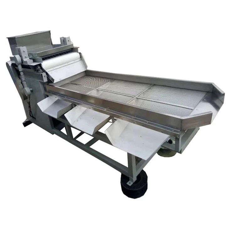 Almond Chopper Machine