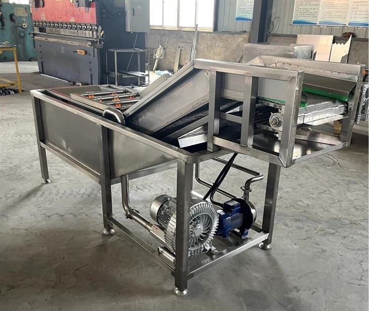Lettuce Washing Equipment